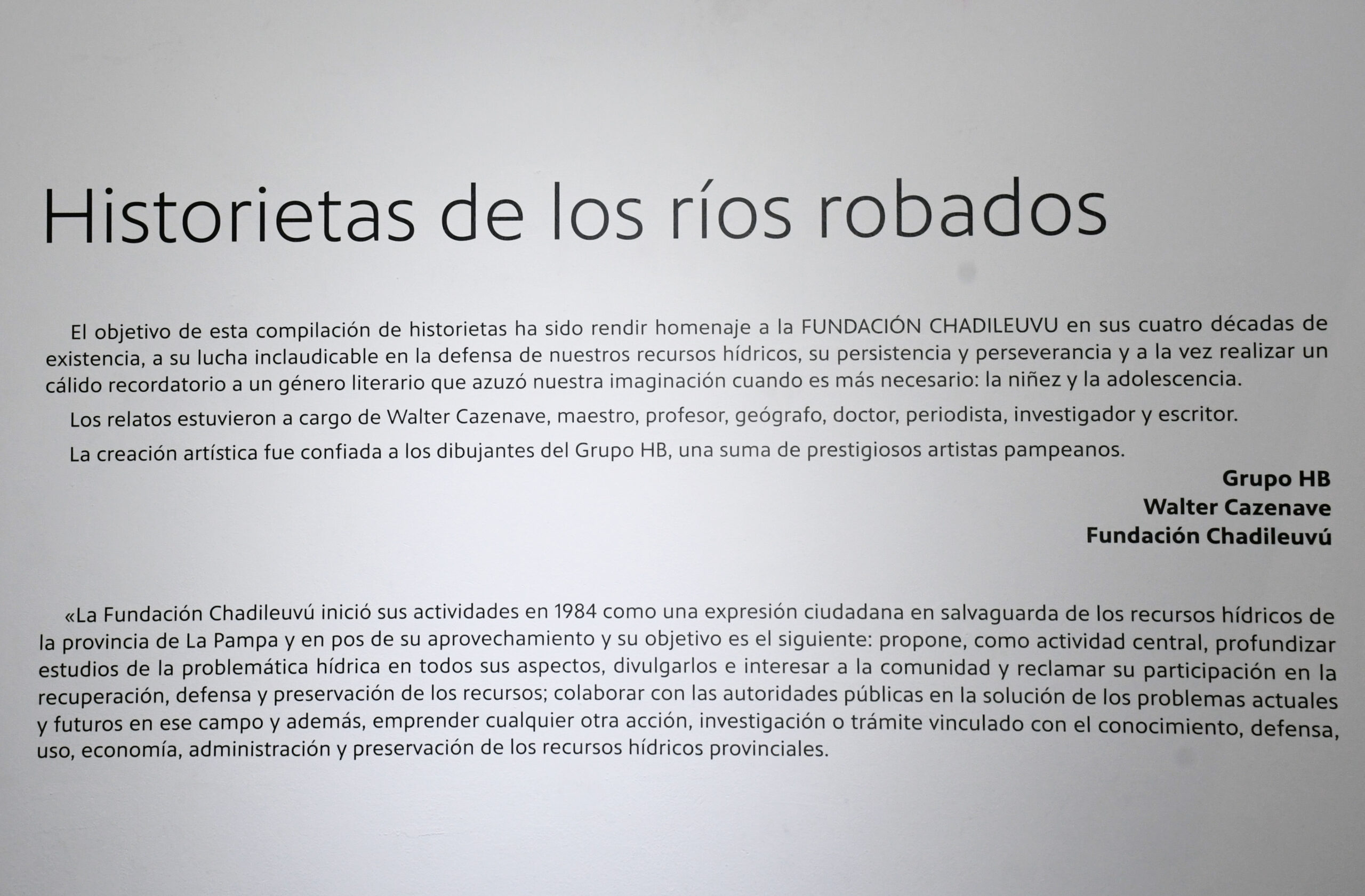 Exposici N De Historietas De Los R Os Robados Yo Amo La Pampa